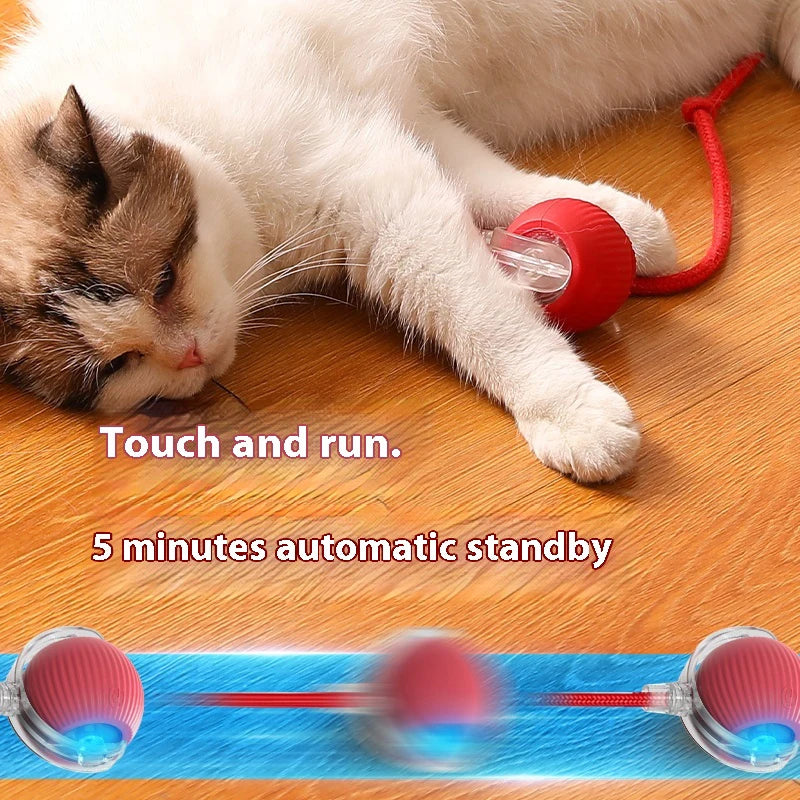 Electric Interactive Cat Toy – Rechargeable Automatic Rolling Ball with Teaser Bird and Smart Sensor for Active Play