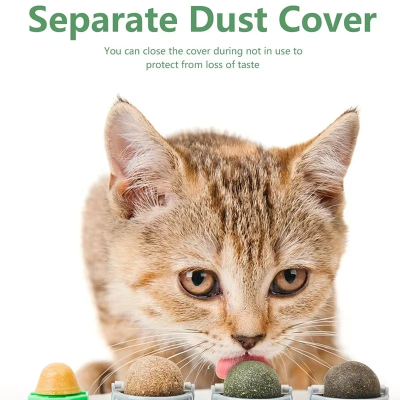 4-in-1 Rotating Catnip & Silver Vine Ball – Wall-Mounted Edible Toy for Dental Care, Acne Prevention & Digestive Health in Cats