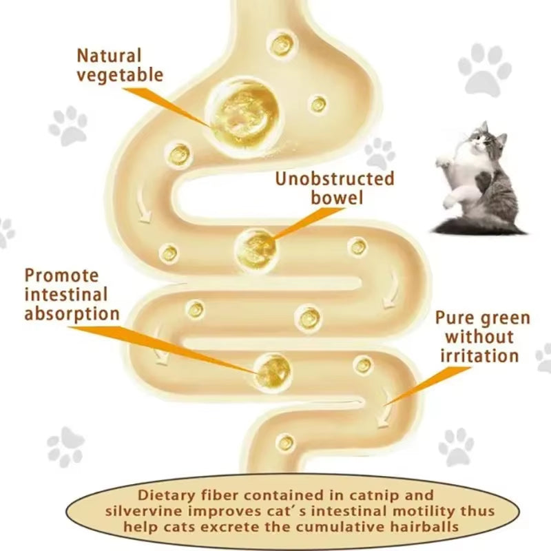 4-in-1 Rotating Catnip & Silver Vine Ball – Wall-Mounted Edible Toy for Dental Care, Acne Prevention & Digestive Health in Cats