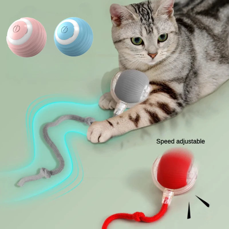 Electric Interactive Cat Toy – Rechargeable Automatic Rolling Ball with Teaser Bird and Smart Sensor for Active Play