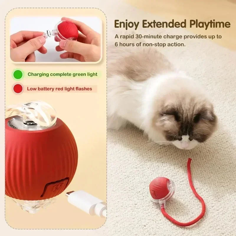 Smart Motion Rolling Cat Toy with Tail – Rechargeable Interactive Play Ball for Exercise & Entertainment