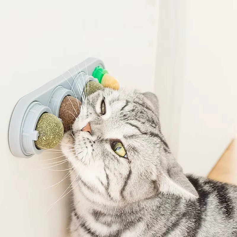 4-in-1 Rotating Catnip & Silver Vine Ball – Wall-Mounted Edible Toy for Dental Care, Acne Prevention & Digestive Health in Cats