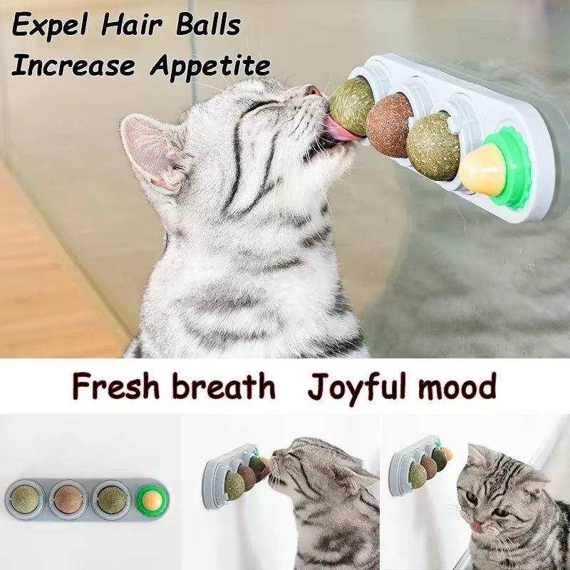 4-in-1 Rotating Catnip & Silver Vine Ball – Wall-Mounted Edible Toy for Dental Care, Acne Prevention & Digestive Health in Cats